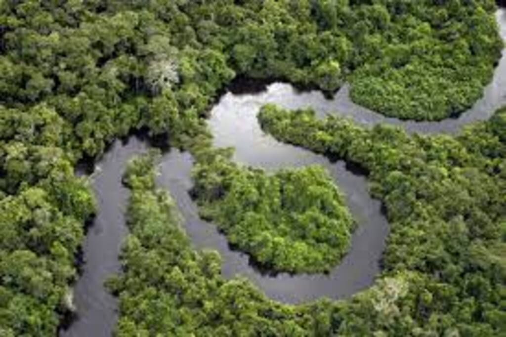 EUA oferecem US$ 50 milhões ao Fundo Amazônia