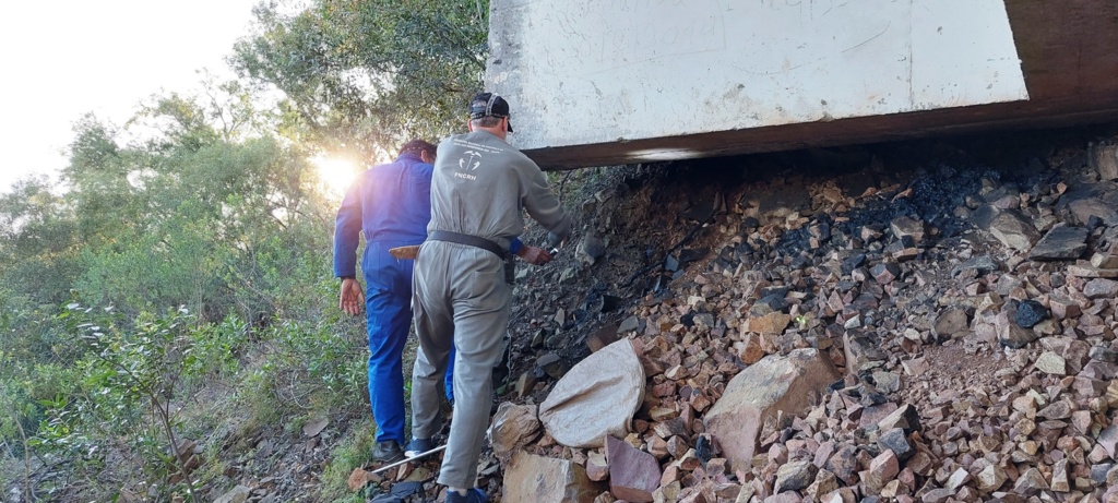 Foto: André Witt/Seapi - Equipes da Seapi investigam possíveis refúgios de morcegos hematófagos