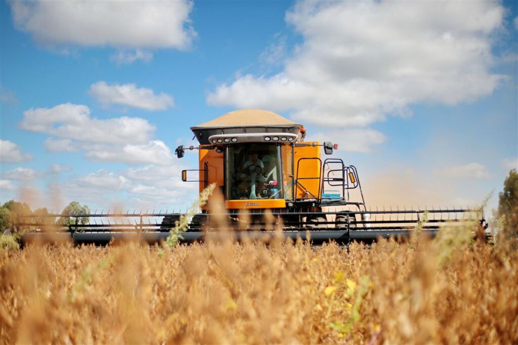 FOTOS: colheita da soja é aberta oficialmente com expectativa de trazer R$ 600 milhões para região