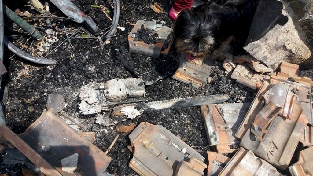 FOTOS: raio destrói casa e mata animais em Rosário do Sul