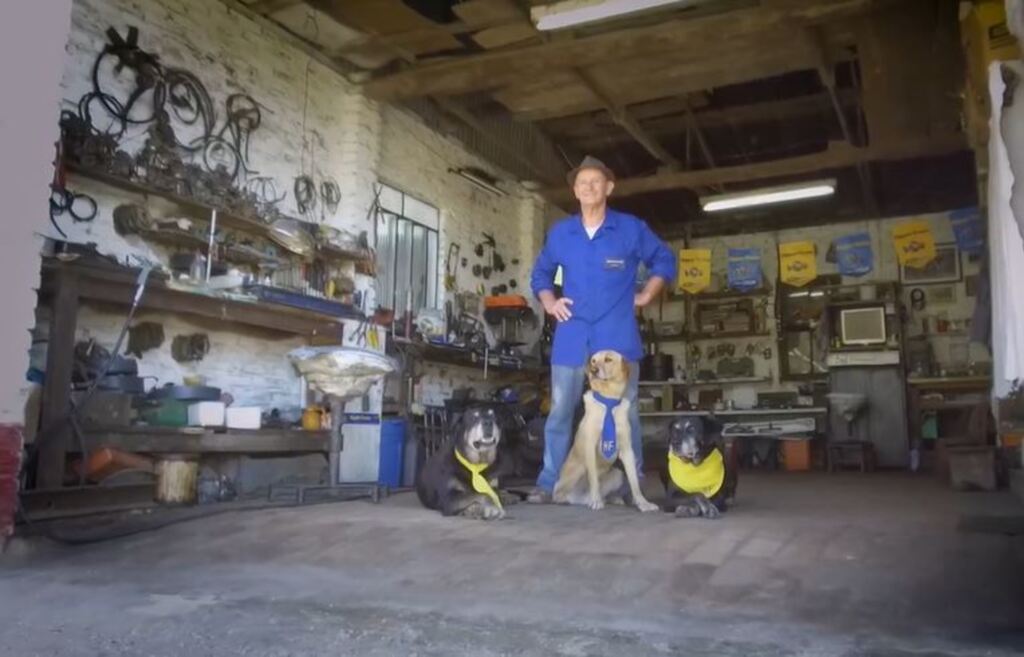 VÍDEO: cães ajudantes de mecânico viram estrelas de comercial