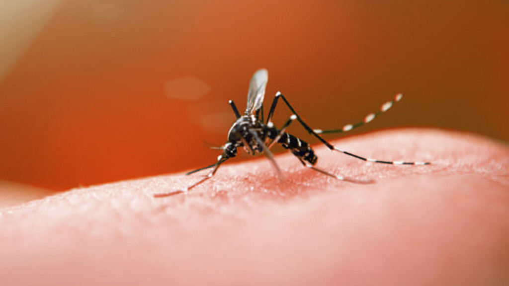 Uruguaiana receberá R$ 14,3 mil extras para enfrentamento a dengue