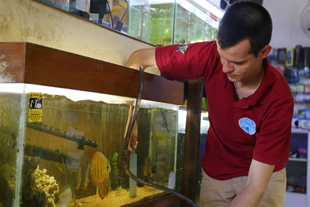 Foto: Pedro Piegas (Diário) - Segundo o aquarista Anderson Vielmo, mesmo que o aquário não aparente estar sujo, limpezas periódicas são necessárias