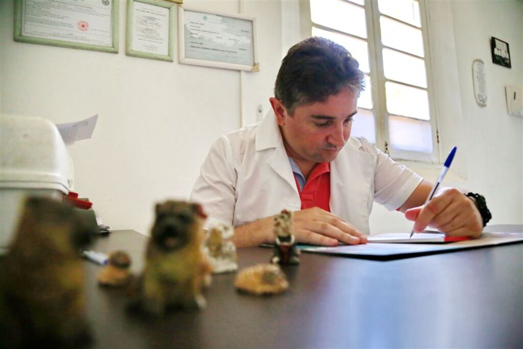 Foto: Renan Mattos (Diário) - Especialista dá dicas sobre como manter um bom convívio com cães e gatos