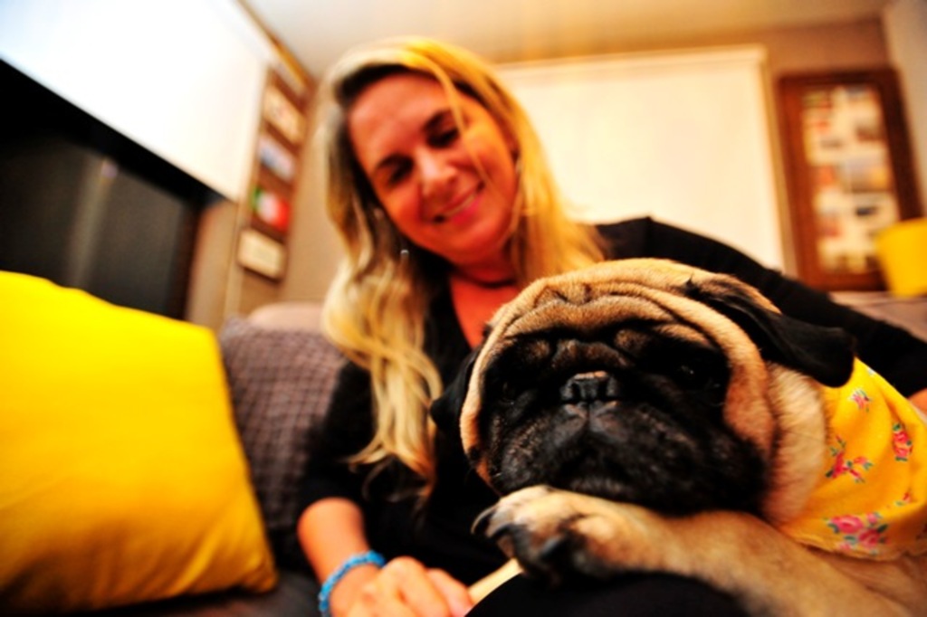 Foto: Renan Mattos (Diário - Valéria é dona de Frida, cachorrinha que sofre com otite de repetição e precisa de cuidados repetidos