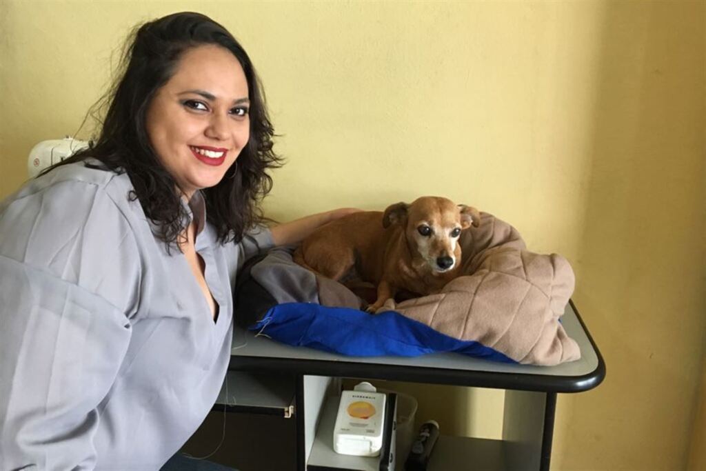 Fotos: Natália Venturini (Diário) - Denise fabrica camas com restos de retalhos e espumas para seus pets, na foto, a pequena Kati, de quase 15 anos, aproveita o conforto