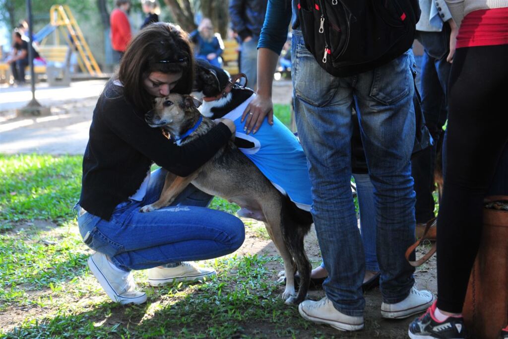 ONG de proteção animal realiza brechó beneficente neste final de semana