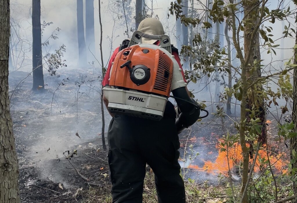 (Imagem Moa Soares) - Bombeiros combatem fogo no mato por quatro horas na Lagoa do Timbé