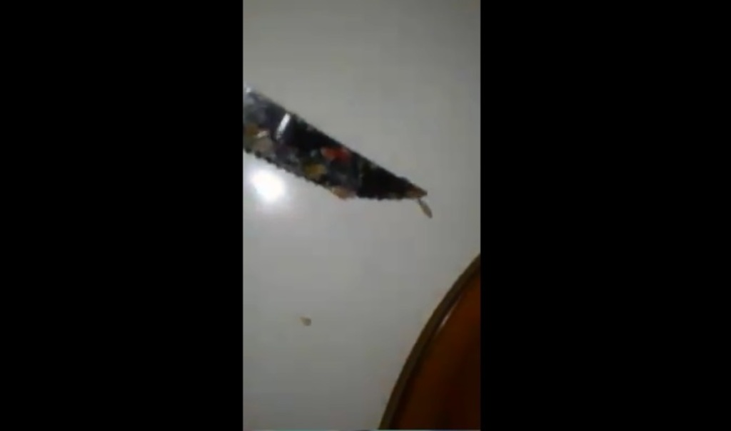 VÍDEO: cliente encontra vermes em lanche, e prefeitura interdita parte da lancheria