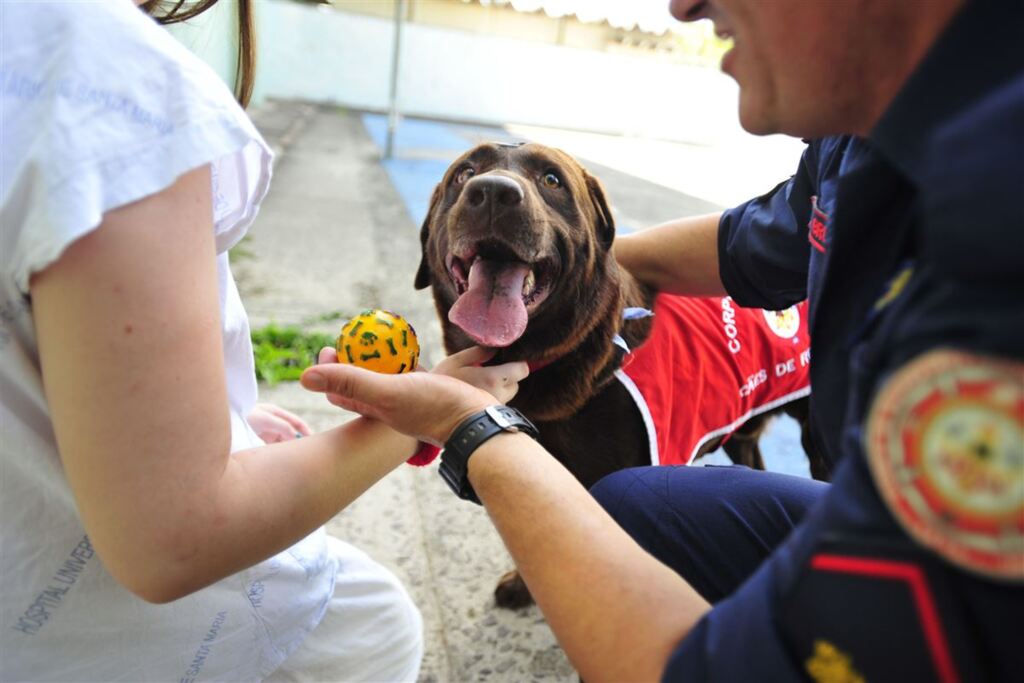 Cães terapeutas recebem homenagem do Hospital Universitário de Santa Maria
