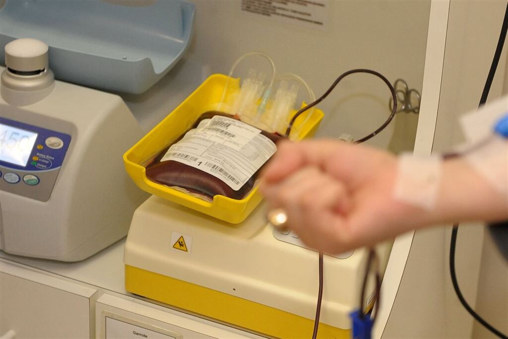Foto: Hospital de Caridade (Divulgação) - Banco de Sangue do Hospital de Caridade de Santa Maria recebe doações até as 14h desta segunda-feira