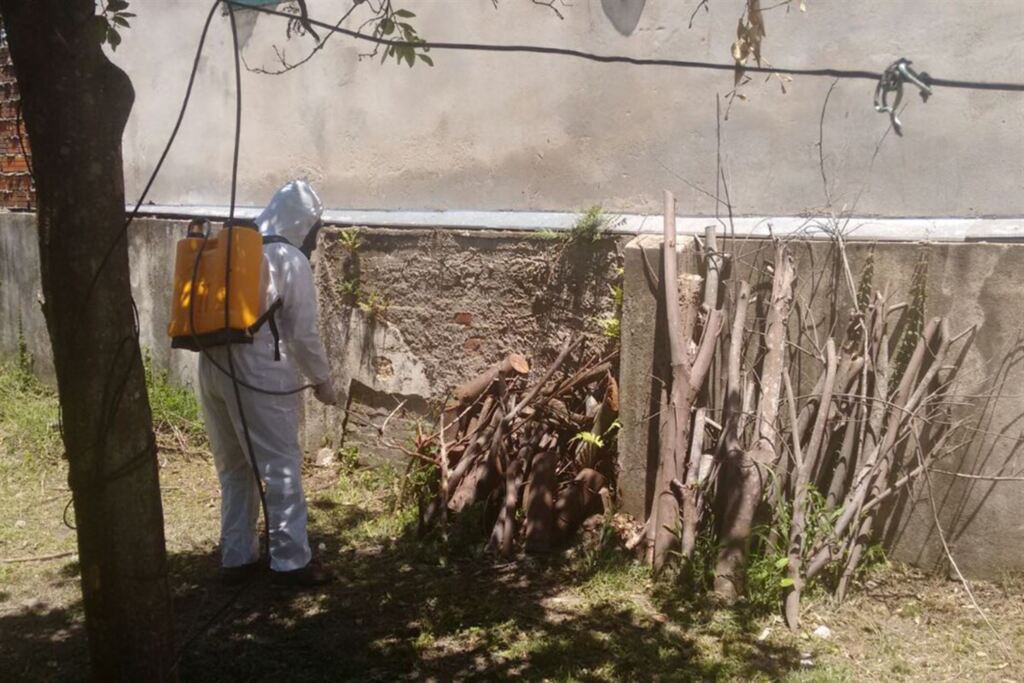 Foto: Divulgação/Vigilância em Saúde - Equipes percorrem imóveis em todos os bairros e constatam o descaso com possíveis criadouros do mosquito