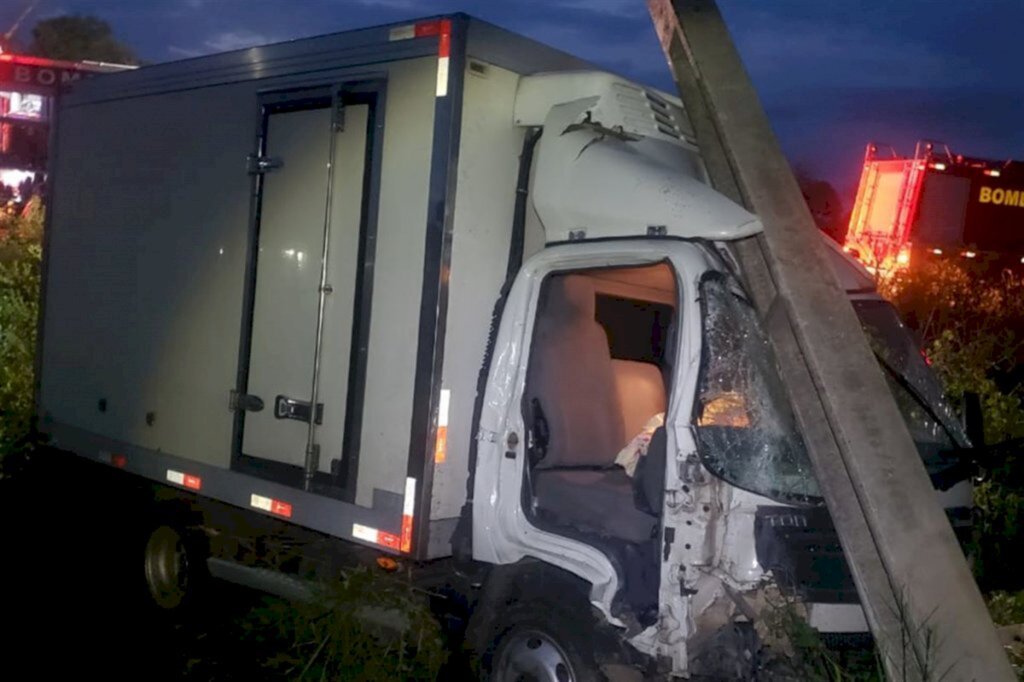 título imagem Ao desviar de animal, caminhão sai da pista e colide em poste