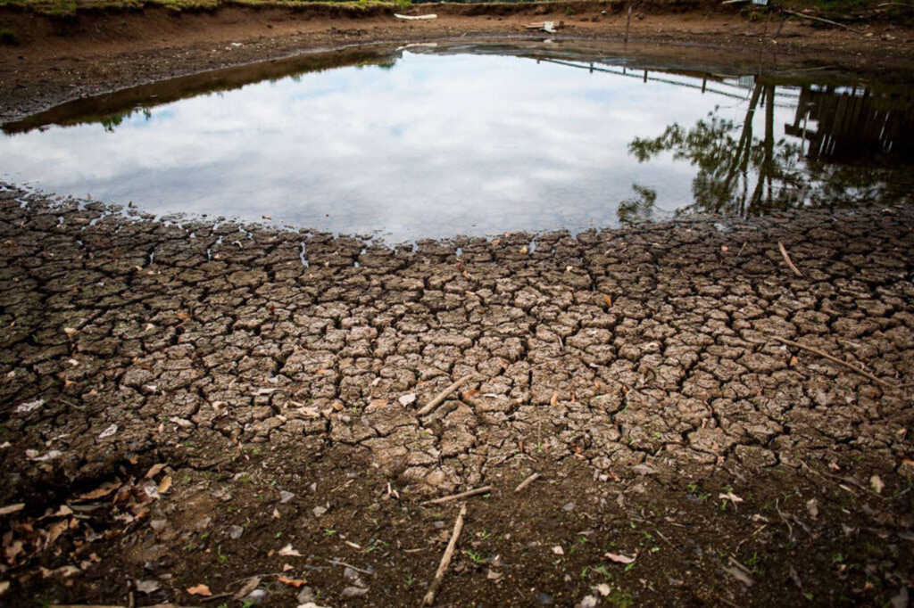 Prejuízos com a estiagem beiram R$ 45 milhões em Rio Grande