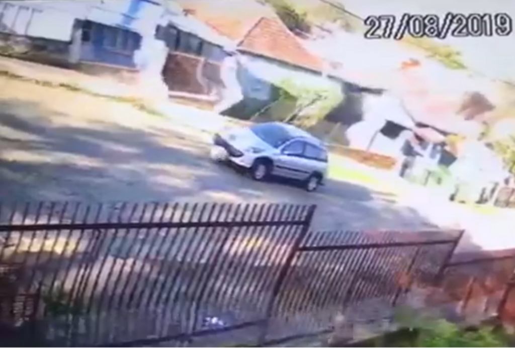VÍDEO: câmeras flagram cachorra sendo atropelada por veículo