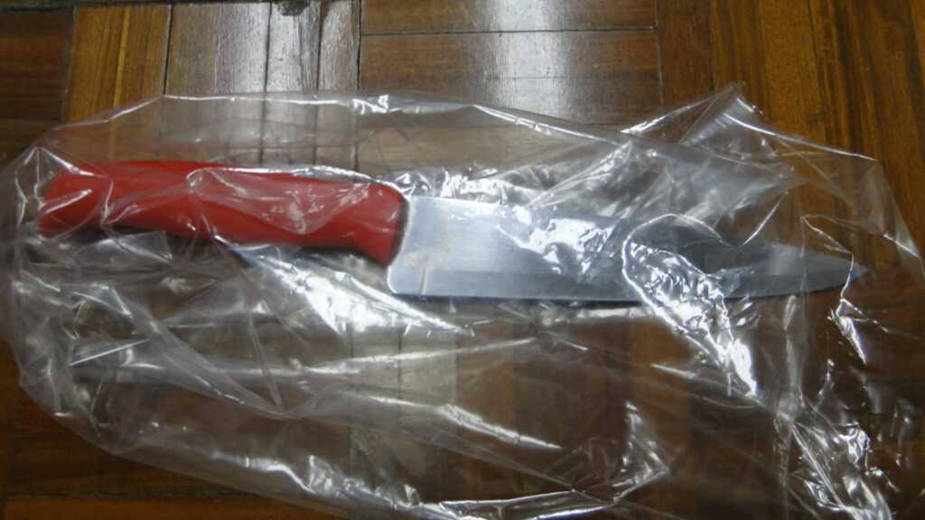 Foto: Polícia Civil (Divulgação) - A faca que o adolescente teria usado para cometer o crime