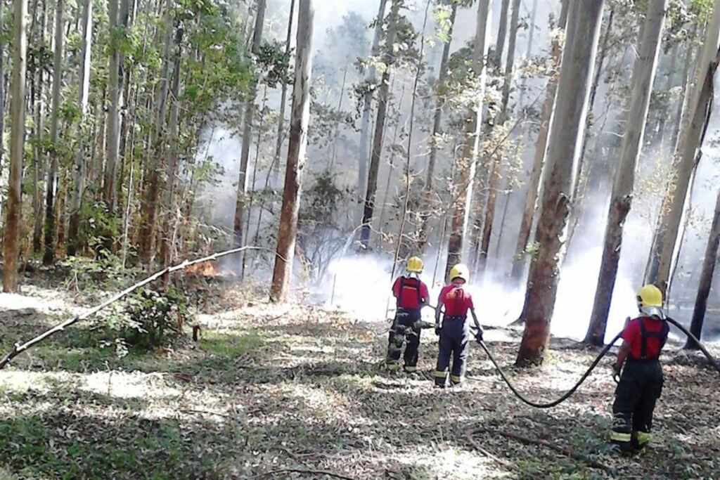 Foto: Divulgação (Corpo de Bombeiros) - Bombeiros utilizaram 15 mil litros de água para combater fogo no Distrito São Valentim