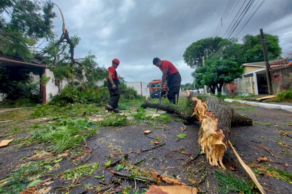 título imagem Após estragos do temporal, defesa civil contabiliza 144 casas destelhadas