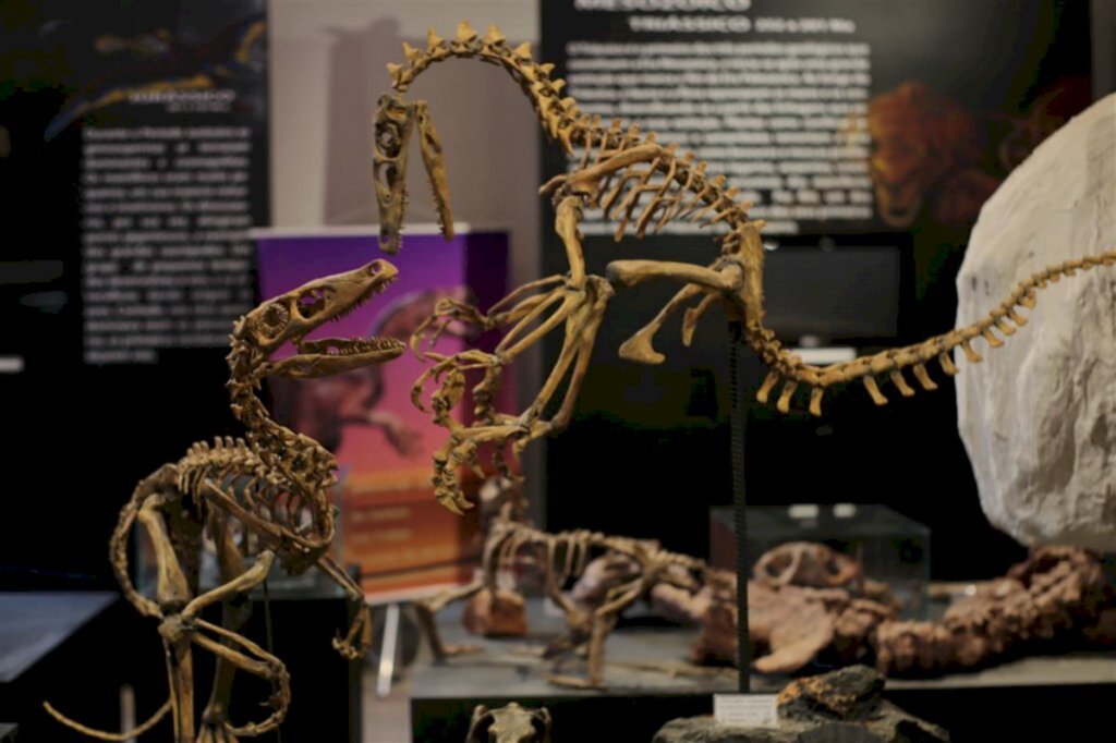 título imagem Centro de Paleontologia da UFSM reabre para visitação mediante agendamento