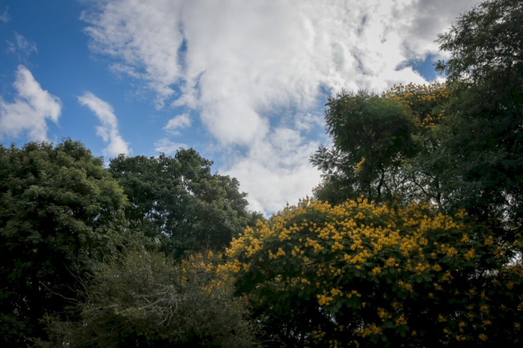 Semana será de tempo firme e temperaturas amenas pelas manhãs