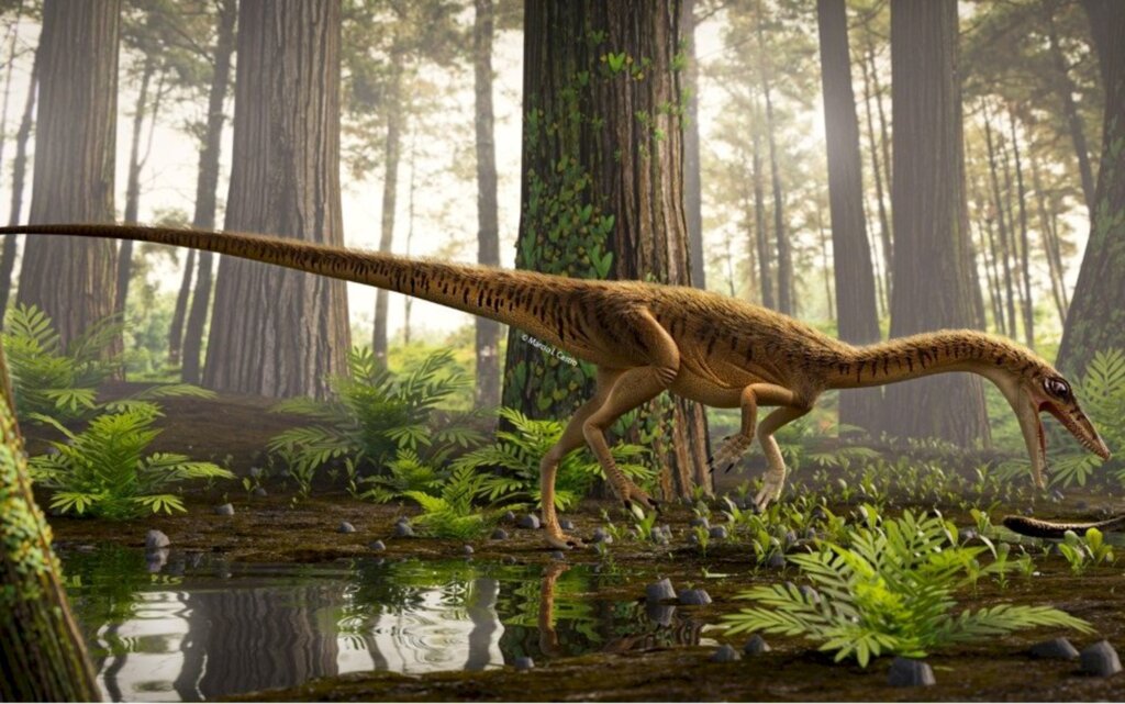 título imagem Descoberto novo dinossauro que viveu há 230 milhões de anos em Agudo