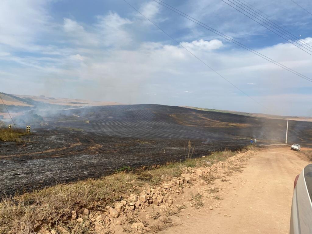 VÍDEO: incêndio consome parte de lavoura de soja em Quevedos