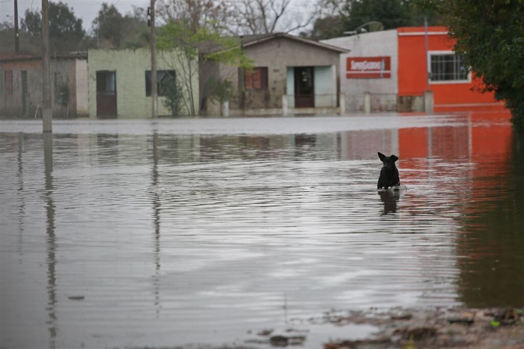 São Gabriel decreta situação de emergência devido às enchentes
