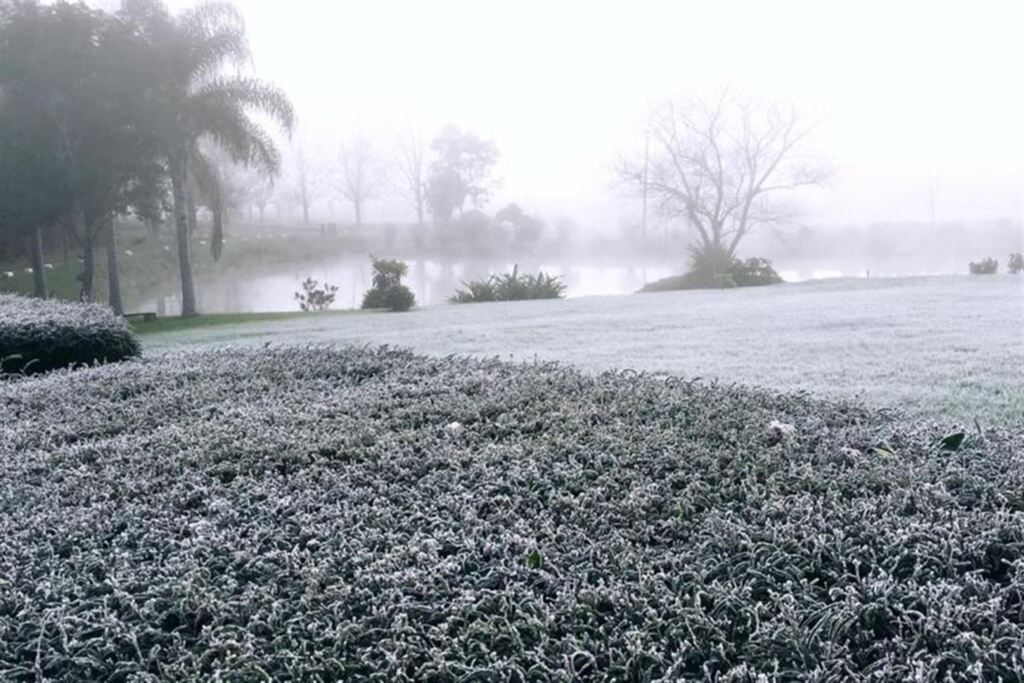 FOTOS: com geada, Santa Maria registra a temperatura mais baixa do ano