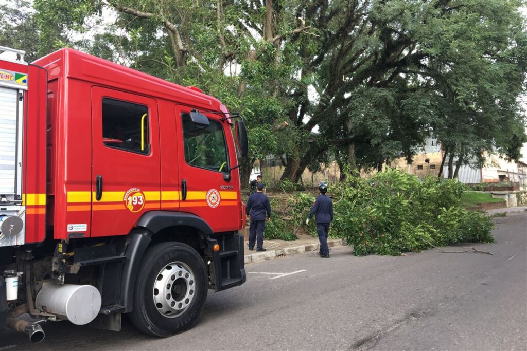 Bombeiros retiram árvores caídas de três regiões da cidade