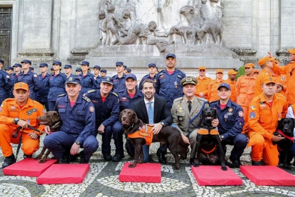 FOTOS+ÁUDIO: bombeiros e cães que atuaram em Brumadinho são homenageados pelo governador