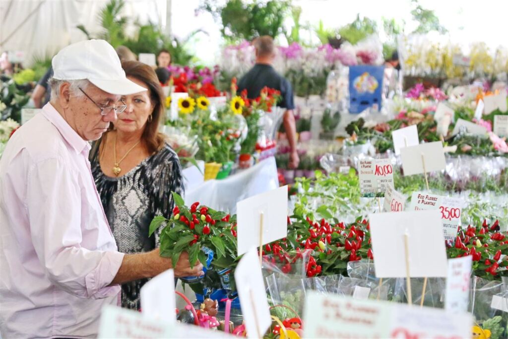 FOTOS: feira na Praça Saldanha Marinho vende flores a partir de R$ 4