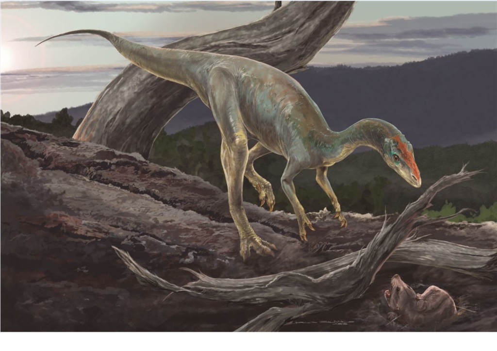 Parente de tiranossauro viveu em Santa Maria há 233 milhões de anos