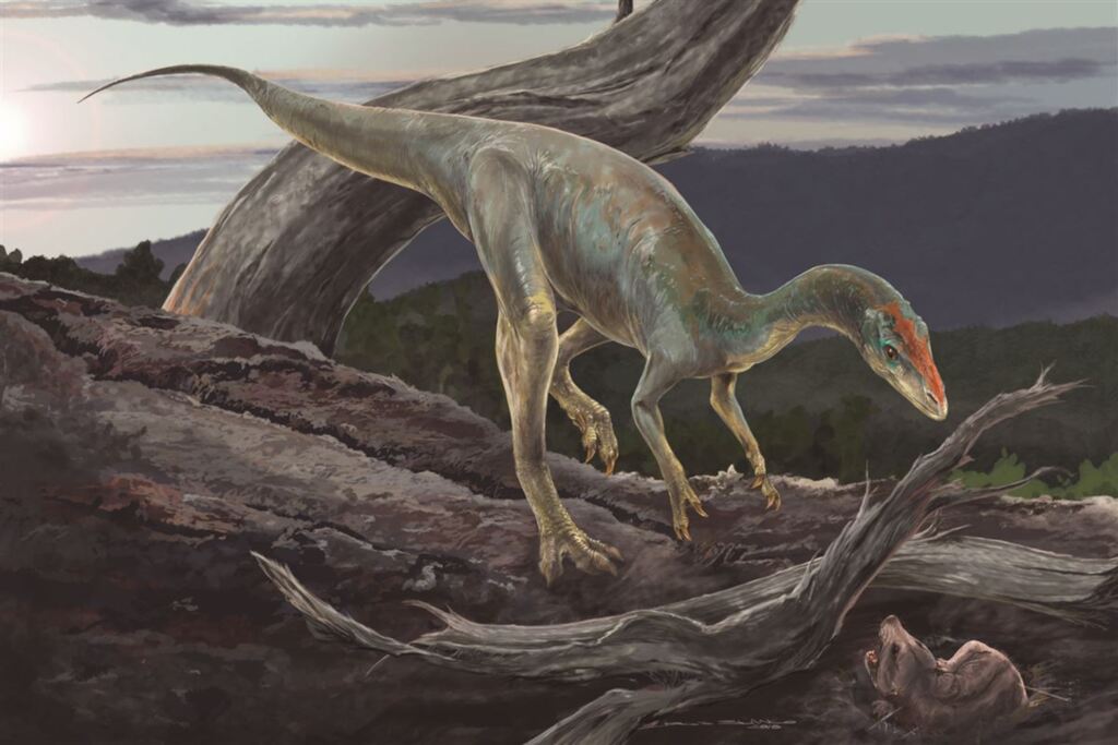 Parente de tiranossauro viveu em Santa Maria há 233 milhões de anos