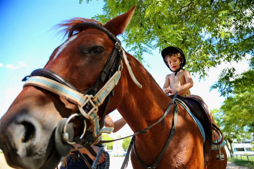 VÍDEO: Associação Equestre oferece colônia de férias para crianças de 4 a 10 anos