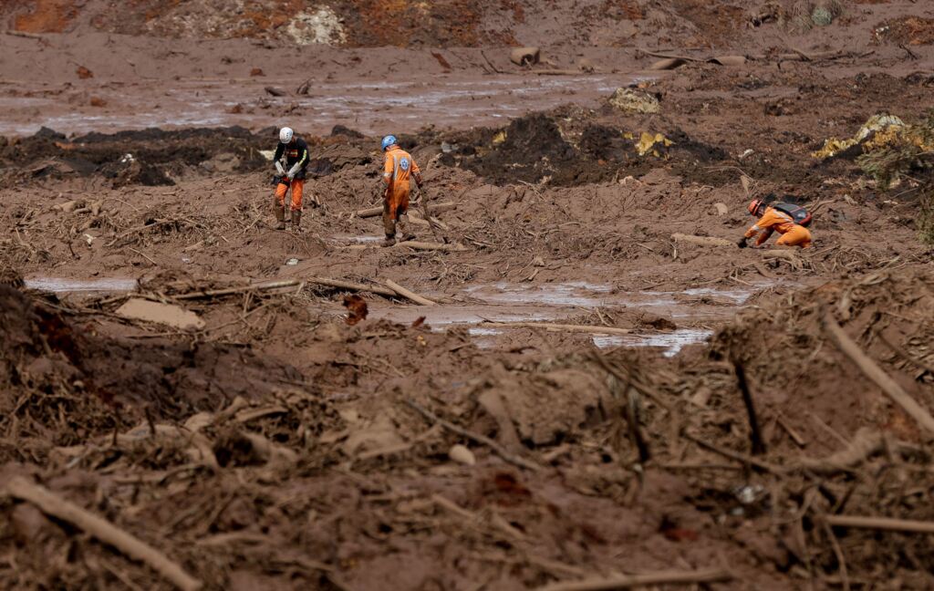Rompimento da barragem em Brumadinho devastou 133 hectares de Mata Atlântica