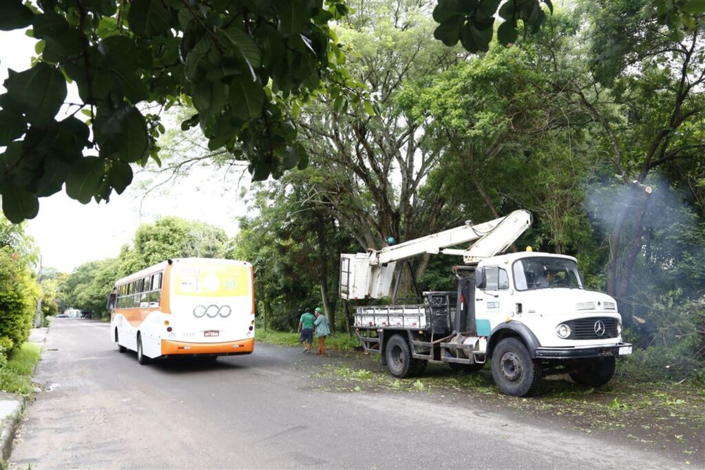 Foto: Janio Seeger (Diário) - Ontem, equipe da Secretaria de Meio Ambiente fez a poda de árvores na Travessa Itaimbé para faciitar a passagem dos ônibus