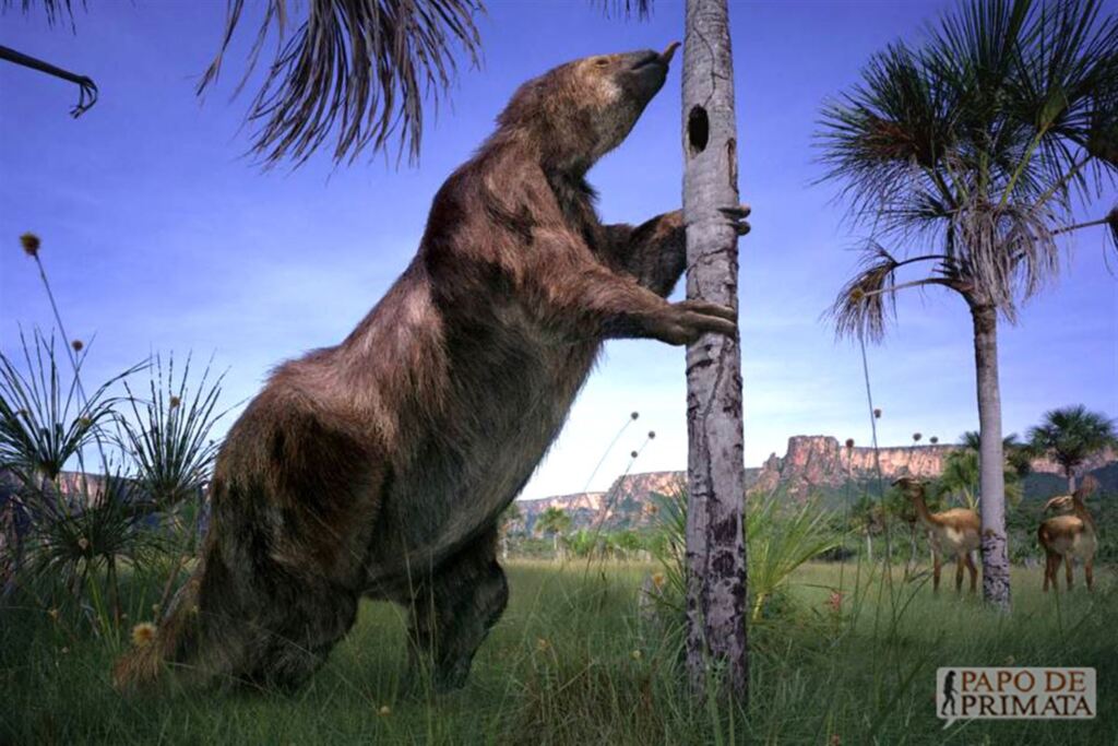 Foto: Reprodução - Representação de uma preguiça gigante, uma das espécies pré-históricas que habitaram a região de Santa Maria