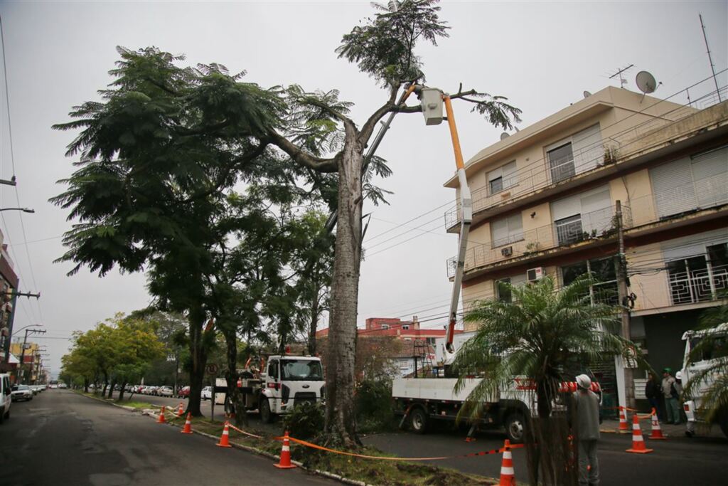 título imagem Árvores são removidas da Avenida Presidente Vargas