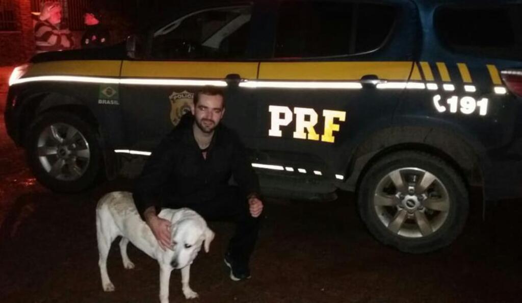 Cadela resgatada pela PRF em rodovia de Santa Maria é devolvida aos tutores