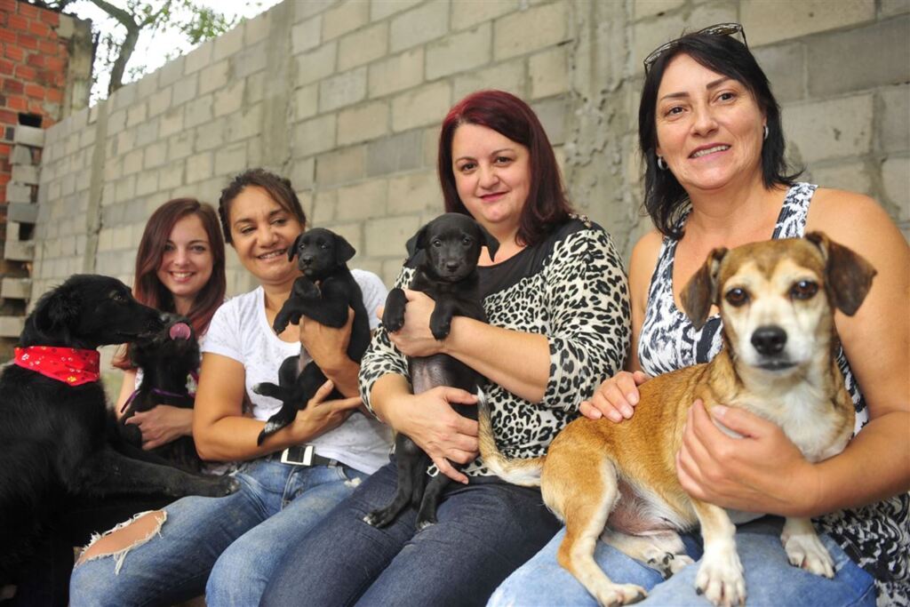 título imagem Mulheres se unem para ajudar animais de rua abandonados