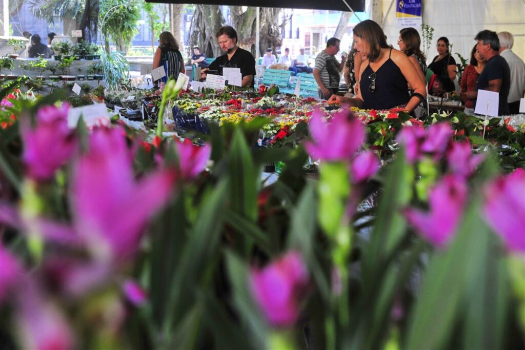 Mais de mil plantas estão à venda na Praça Saldanha Marinho
