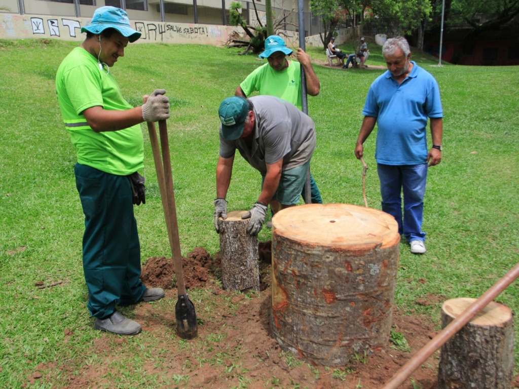 Prefeitura instala primeiros móveis rústicos feitos de árvores derrubadas pelo temporal