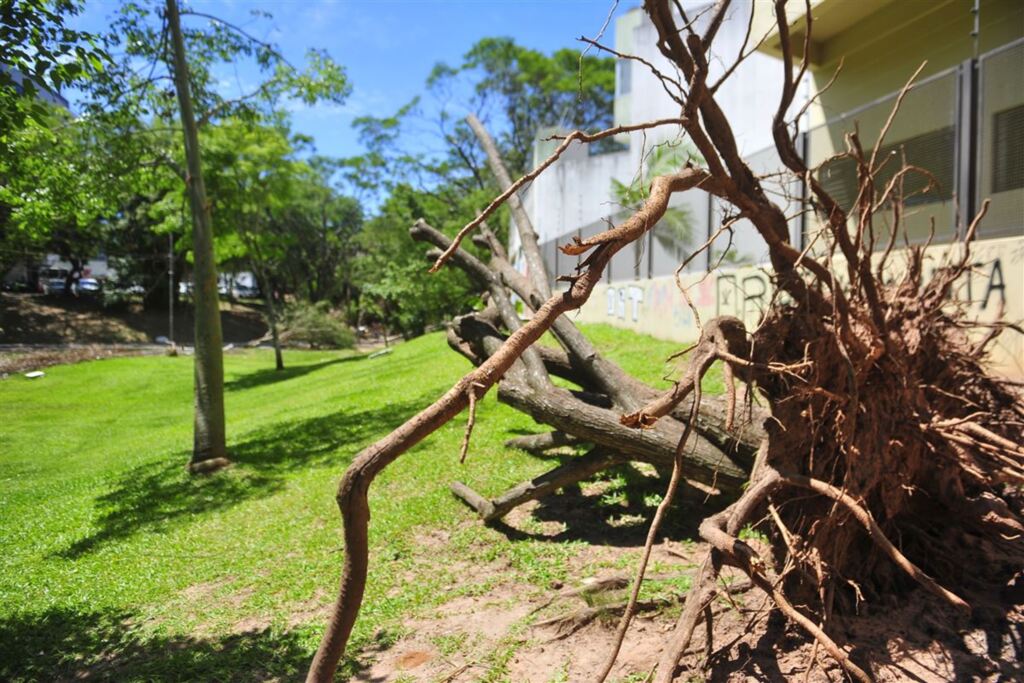 RGE Sul cria estratégias para atendimento durante possíveis temporais