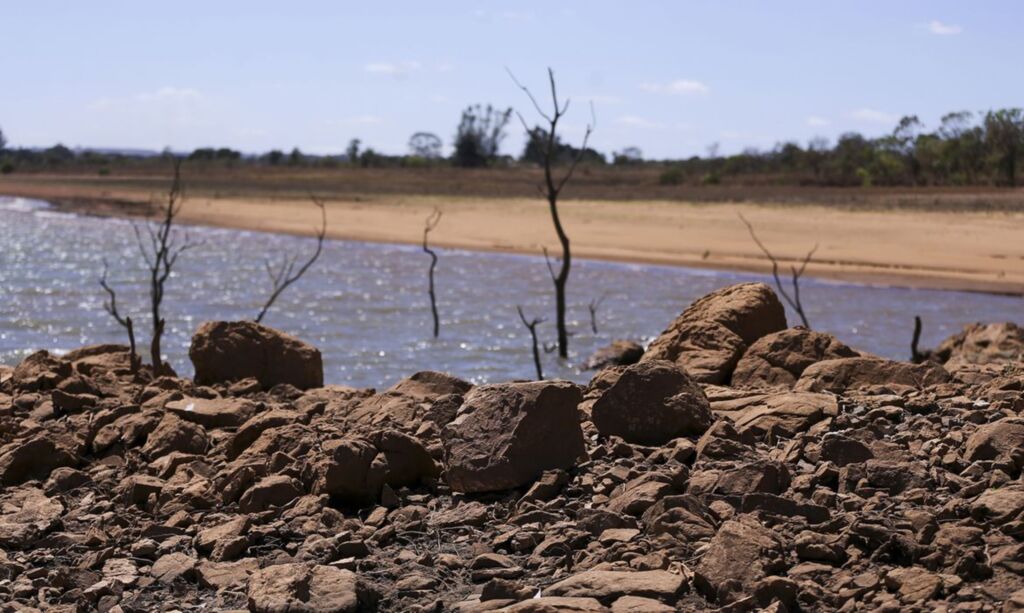 Foto: Marcelo Camargo - Agência Brasil - Maiores perdas no agronegócio são em torno da cultura da soja e do milho