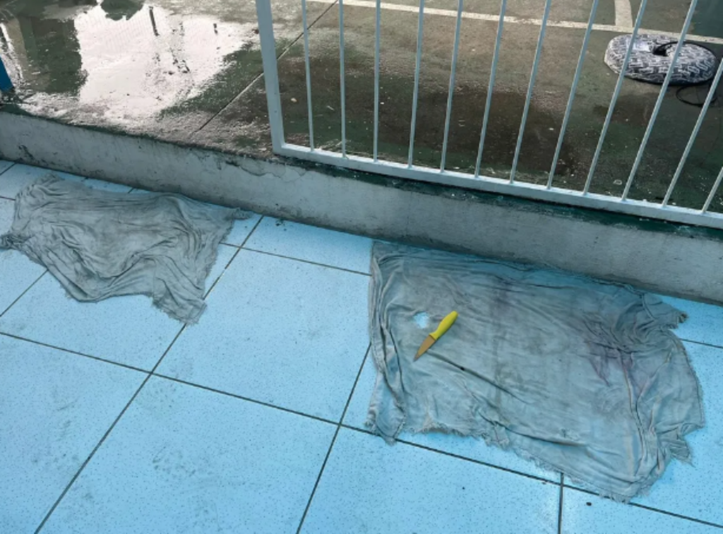 Foto: PM/ Divulgação - 