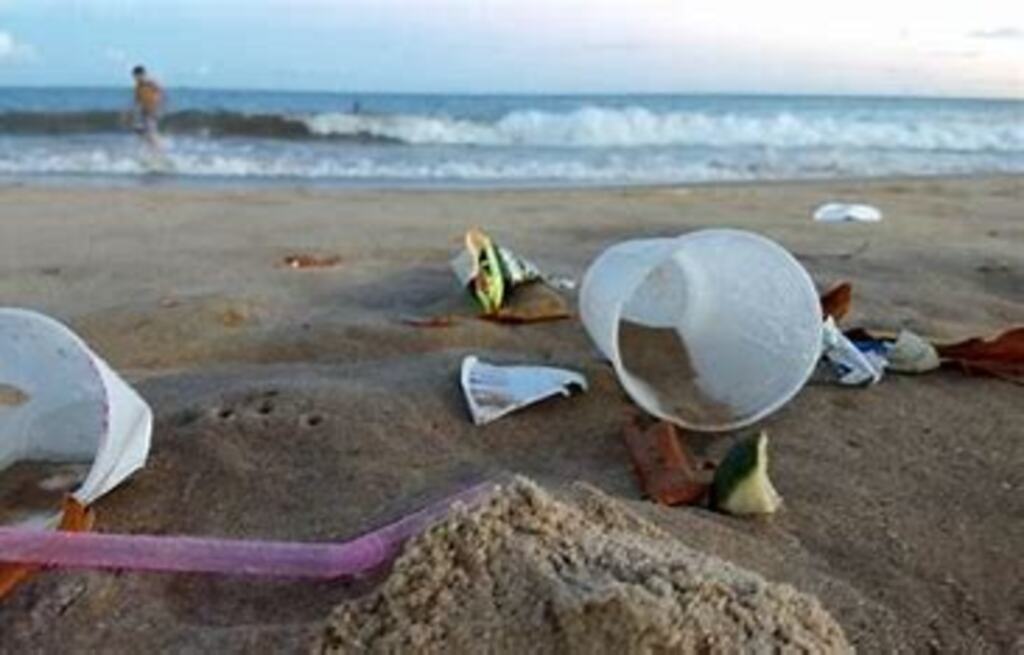 Águas de São Francisco do Sul alerta: lixo na praia também causa impacto negativo na sociedade