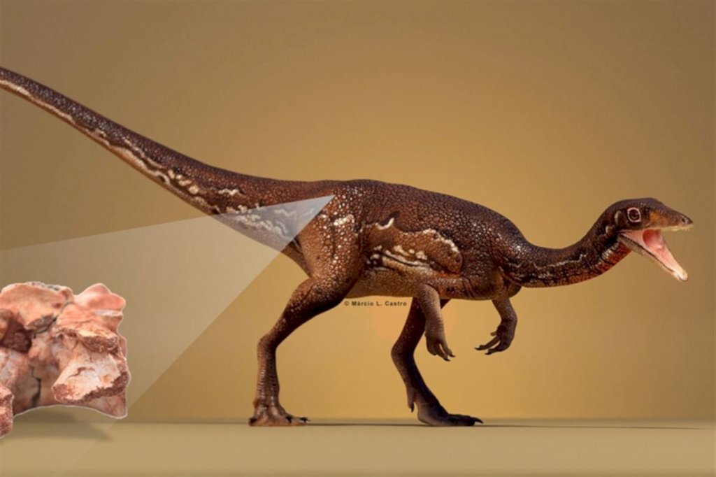 Cientistas da UFSM publicam estudo sobre evolução de dinossauro de 233 milhões de anos
