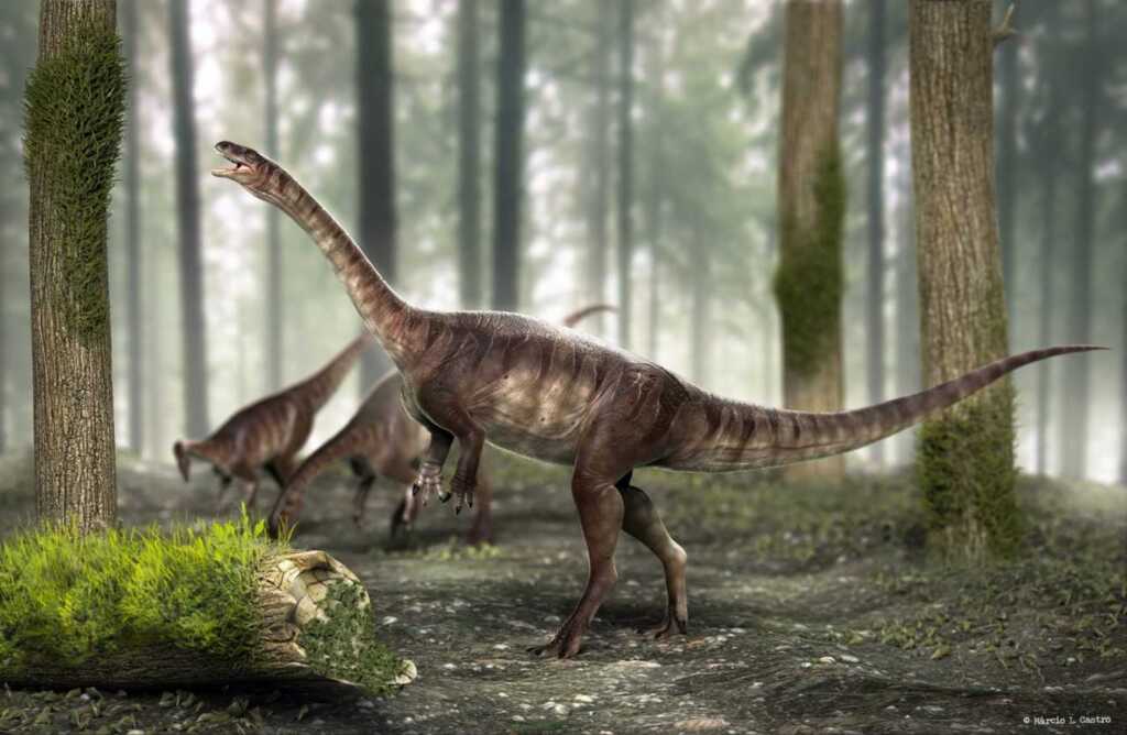 Pesquisadores descobrem nova espécie de dinossauro na região