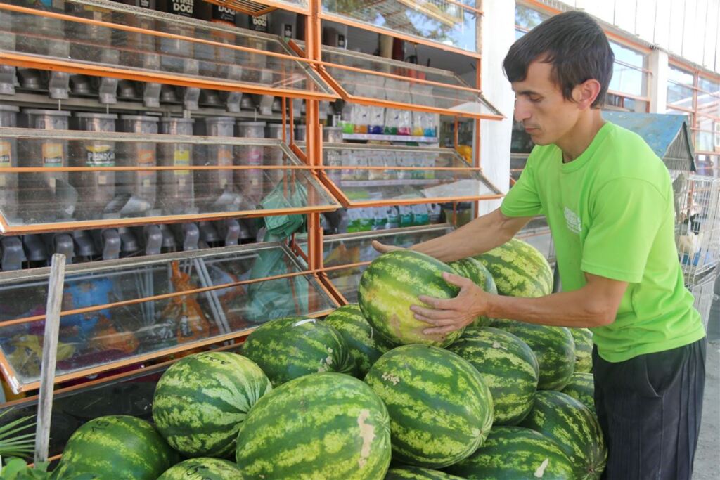 Com início da safra, preços da melancia devem cair em Santa Maria e região