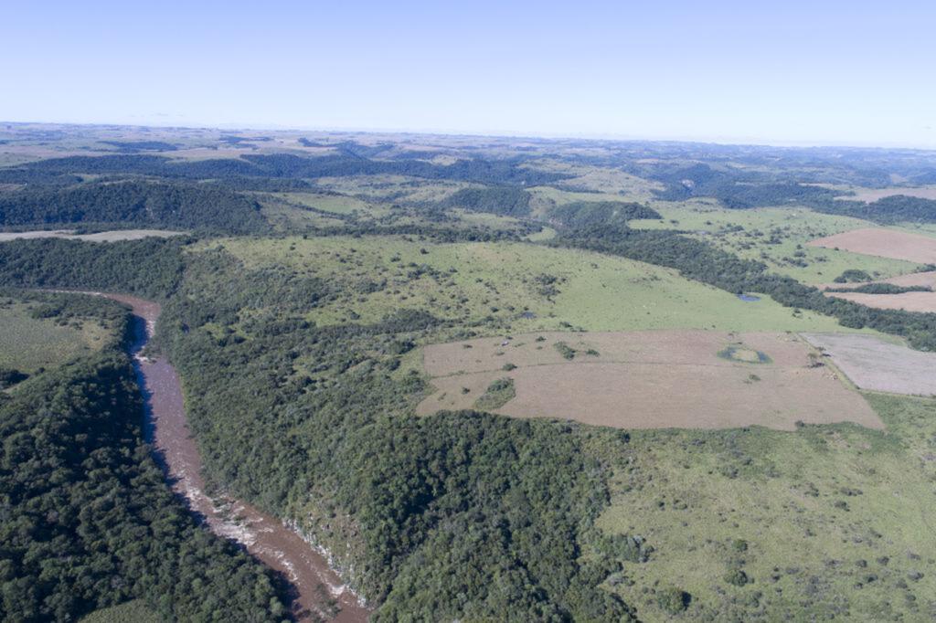 Grupo Havan vence leilão de venda de energia e consegue garantia para construir hidrelétricas no Rio Toropi